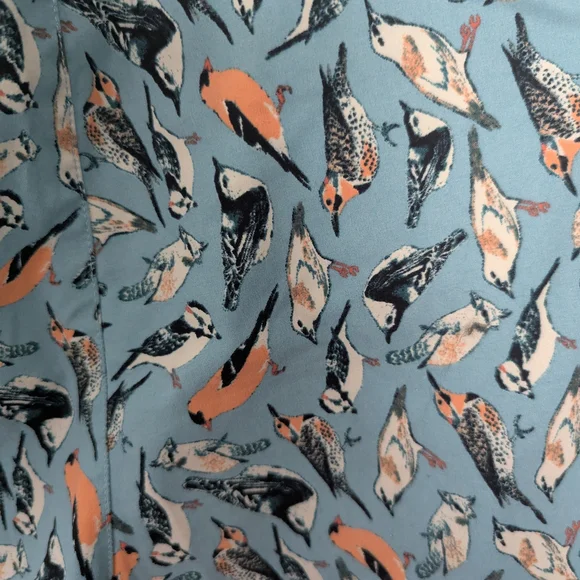 TNF North Face Class V Bird Board/Active Shorts - Picture 3 of 7